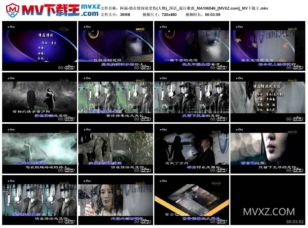 阿福-情在情深处受伤(人物)_国语_流行歌曲_MA106549